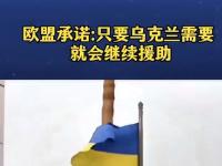 开云体育入口-关于乌克兰主场输给荷兰，欧预赛希望渺茫的信息