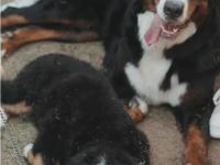 开云体育平台APP-伯恩山重点训练，为接下来比赛做好准备的简单介绍