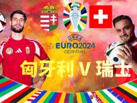 开云体育官网-瑞士队在欧预赛中展示出强大的实力