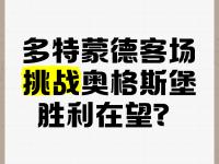 开云体育官方网站-奥格斯堡客场取分，战绩逐步向上趋势的简单介绍