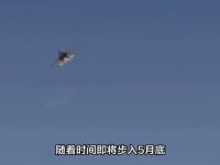 开云平台-战局逐渐升温，双方争夺节奏激烈