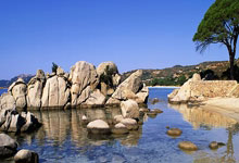 开云体育平台APP-西决生死战之夜，戈贝尔点燃赛场