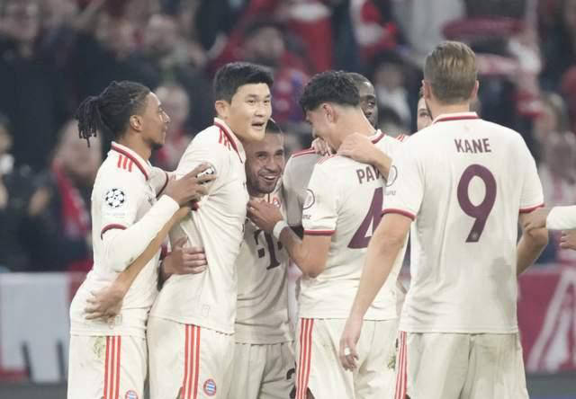 拜仁慕尼黑球迷球场上呐喊助威 拜仁慕尼黑球迷球场上呐喊助威